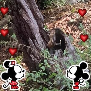 Meet your Posher, Oli